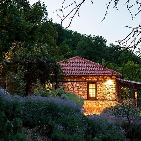 Ktima Bellou Agios Dimitrios  Exteriér fotografie