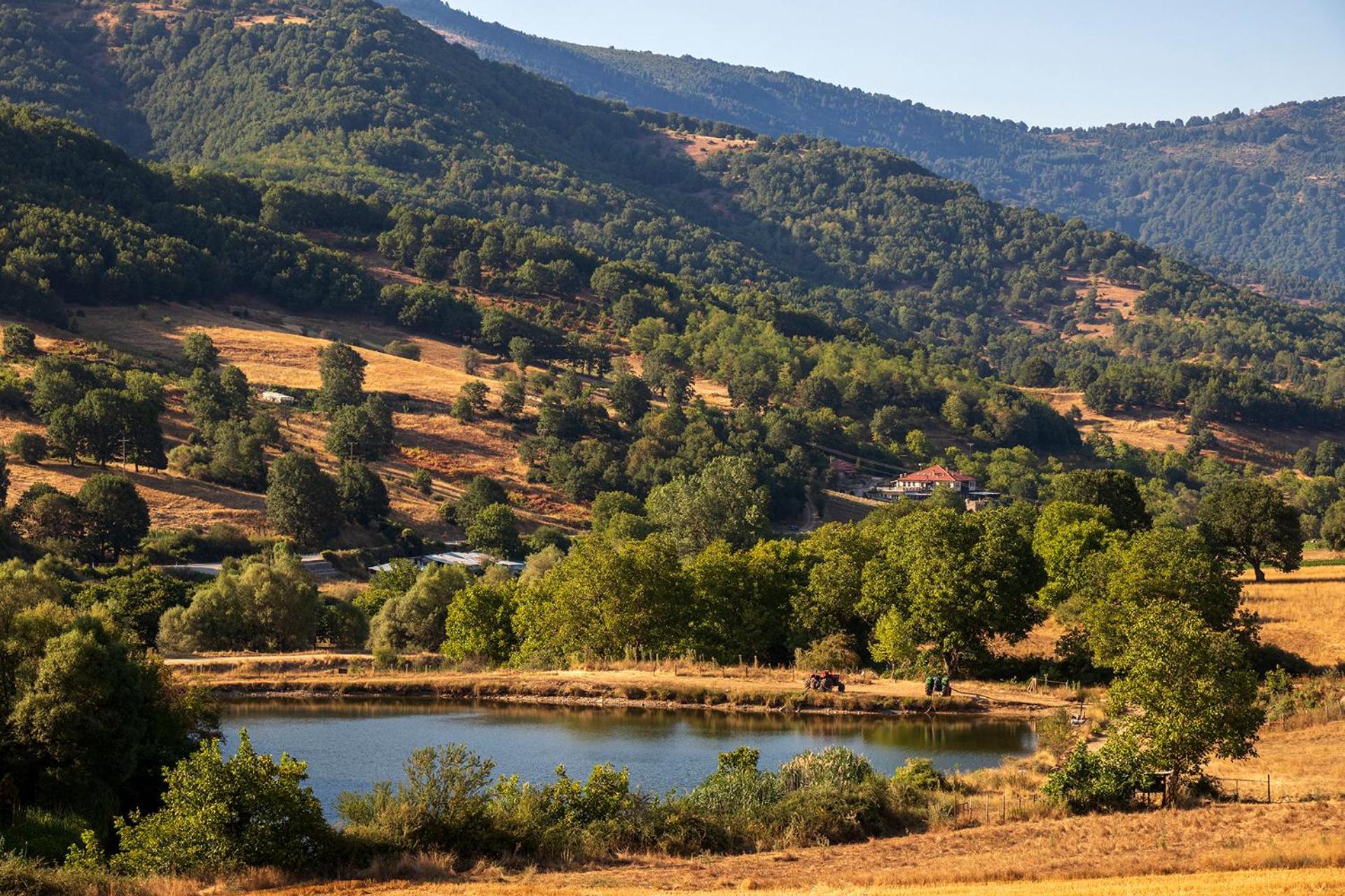 Ktima Bellou Agios Dimitrios  Exteriér fotografie
