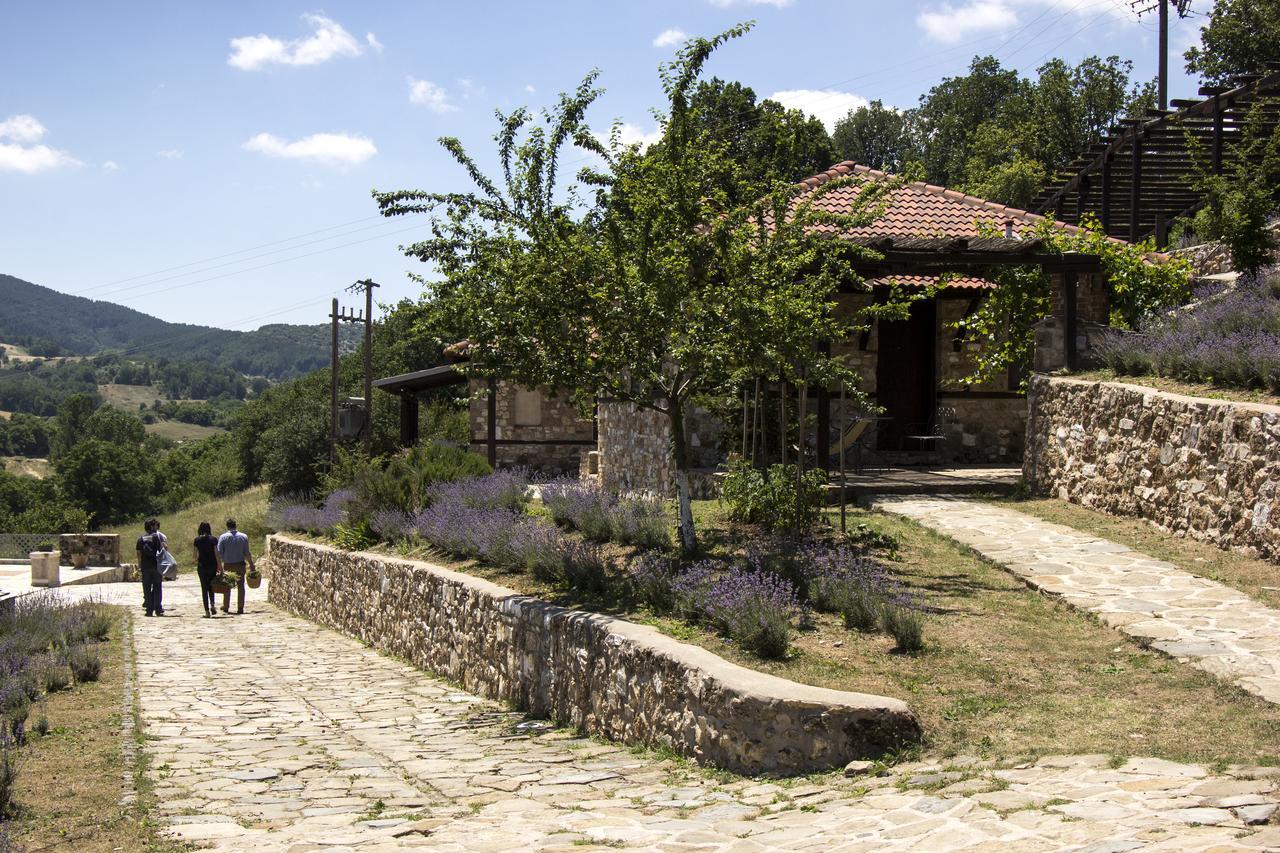 Ktima Bellou Agios Dimitrios  Exteriér fotografie